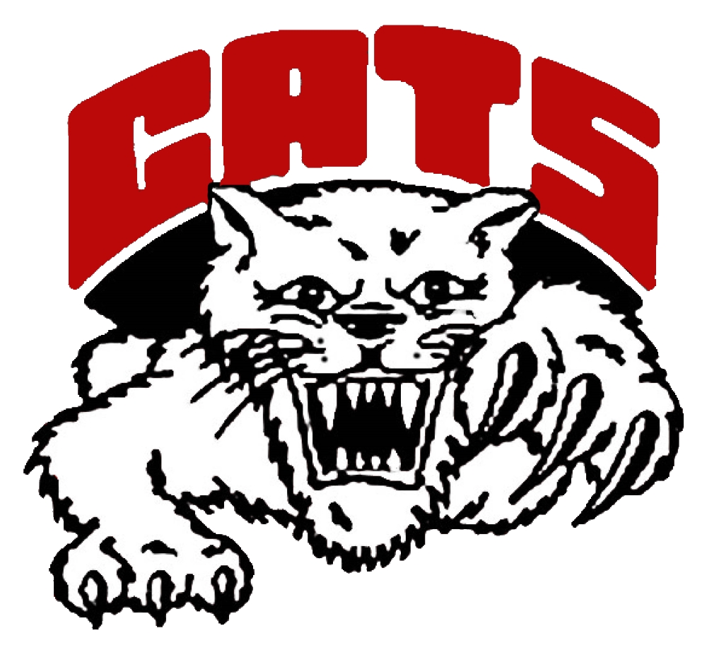 Struthers Wildcats